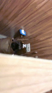 办公楼女厕近距离抄底偷拍❤️三位美女职员的极品嫩鲍鱼